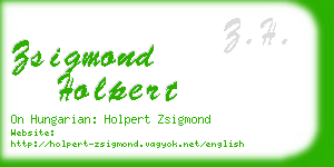 zsigmond holpert business card